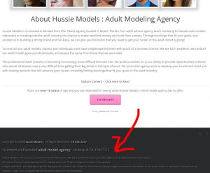 hussie-models-not-licensed
