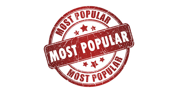 Most Popular Porn Sites 42