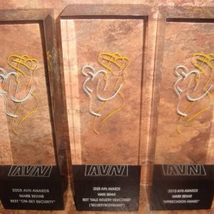 mark behar avn awards